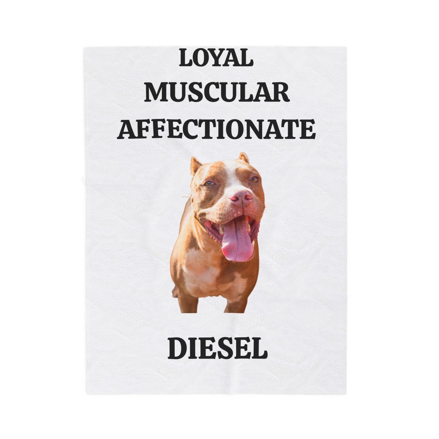 MY PET DOG PERSONALIZED VELVETEEN  Plush Blanket (Placeholder Do Not Publish)