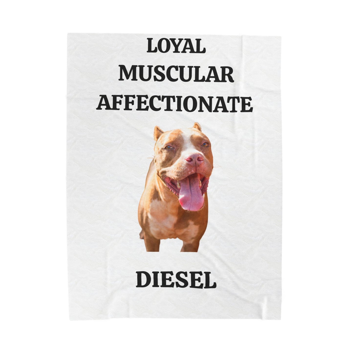 MY PET DOG PERSONALIZED VELVETEEN  Plush Blanket (Placeholder Do Not Publish)